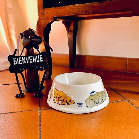 Historical J&D Apartment Florence Luaran gambar