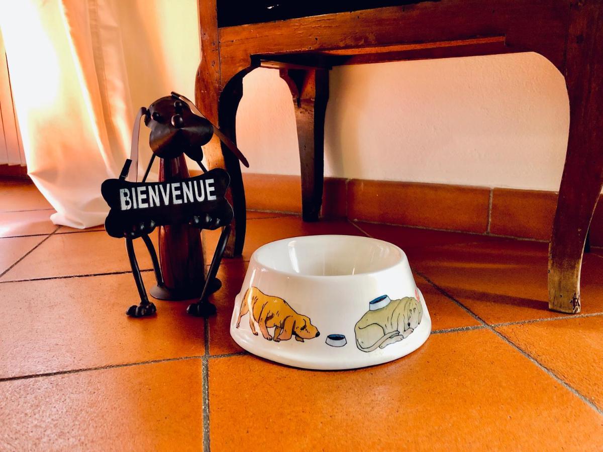 Historical J&D Apartment Florence Luaran gambar